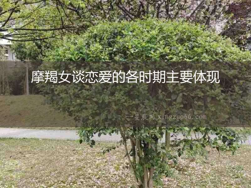 摩羯女談戀愛的各時(shí)期主要體現(xiàn)