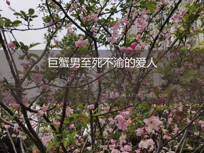 巨蟹男至死不渝的愛人