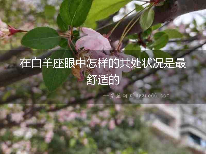 在白羊座眼中怎樣的共處狀況是最舒適的