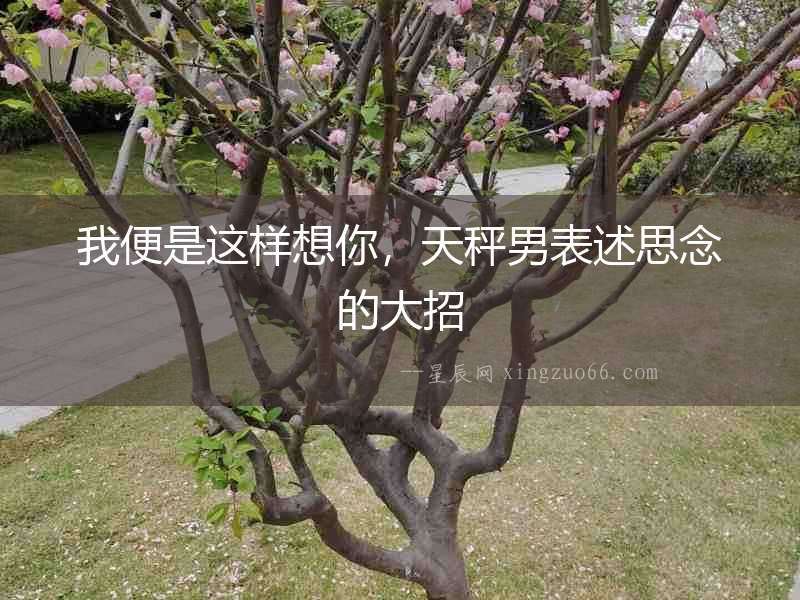 我便是這樣想你，天秤男表述思念的大招