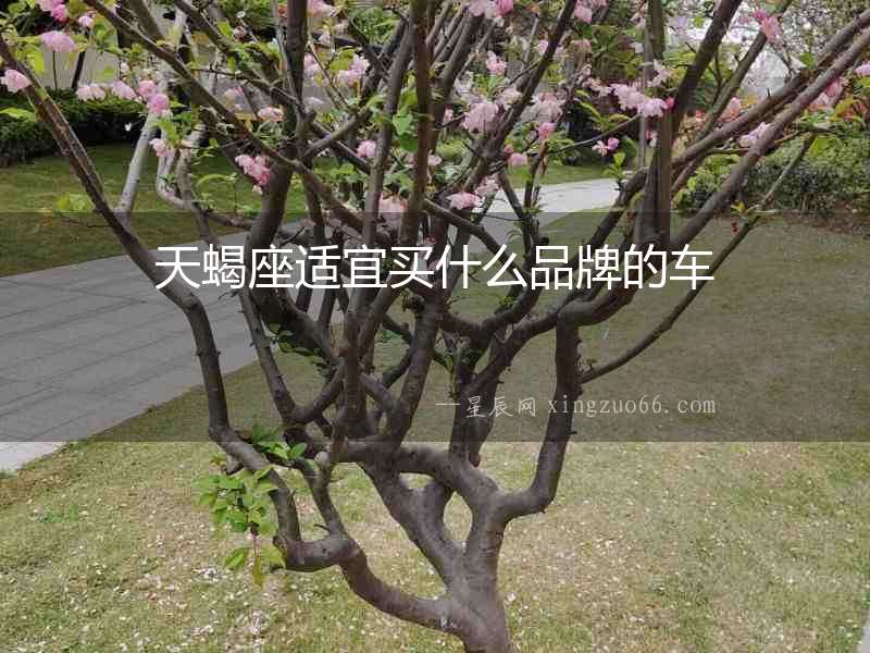 天蝎座適宜買什么品牌的車