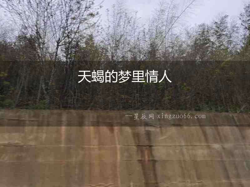 天蝎的夢里情人