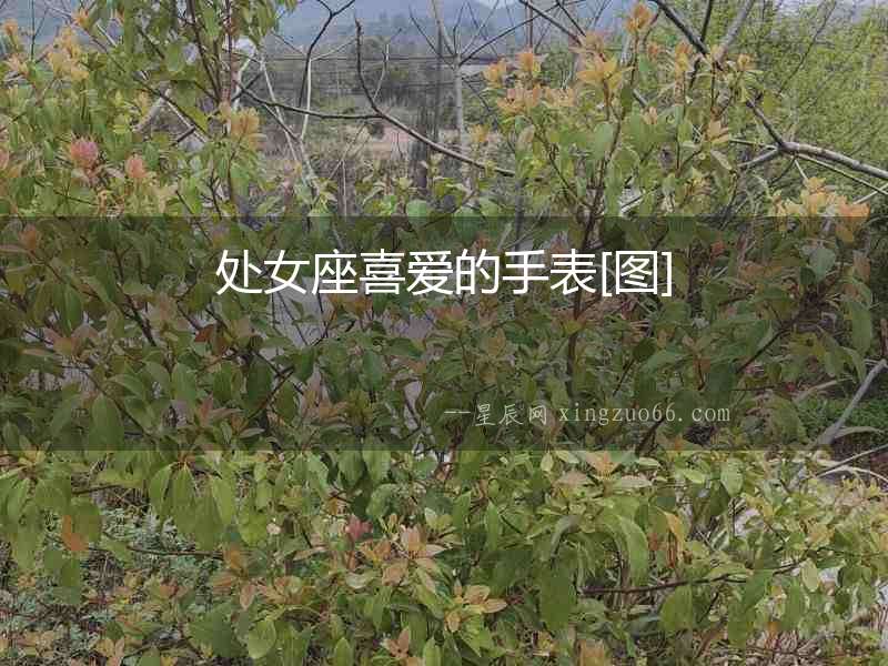 處女座喜愛的手表[圖]