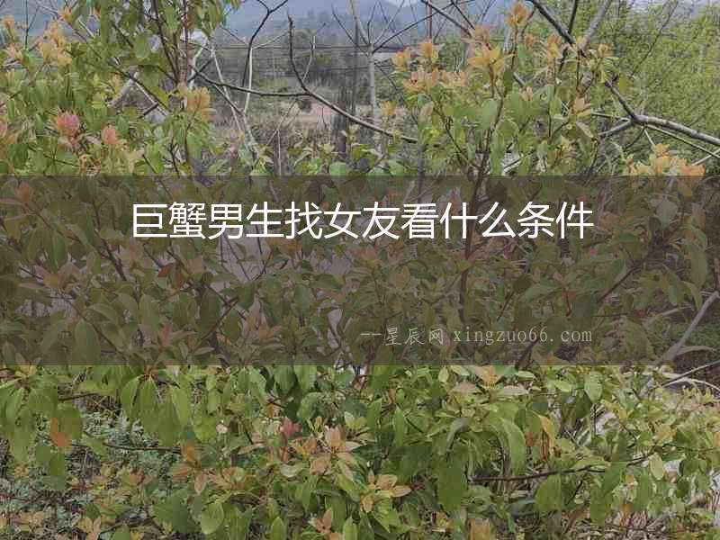 巨蟹男生找女友看什么條件