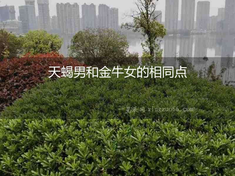 天蝎男和金牛女的相同點