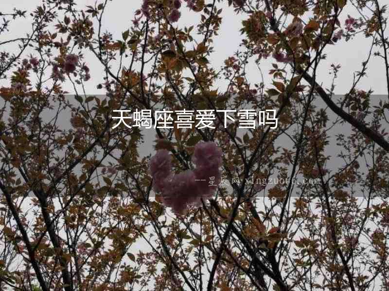 天蝎座喜愛下雪嗎