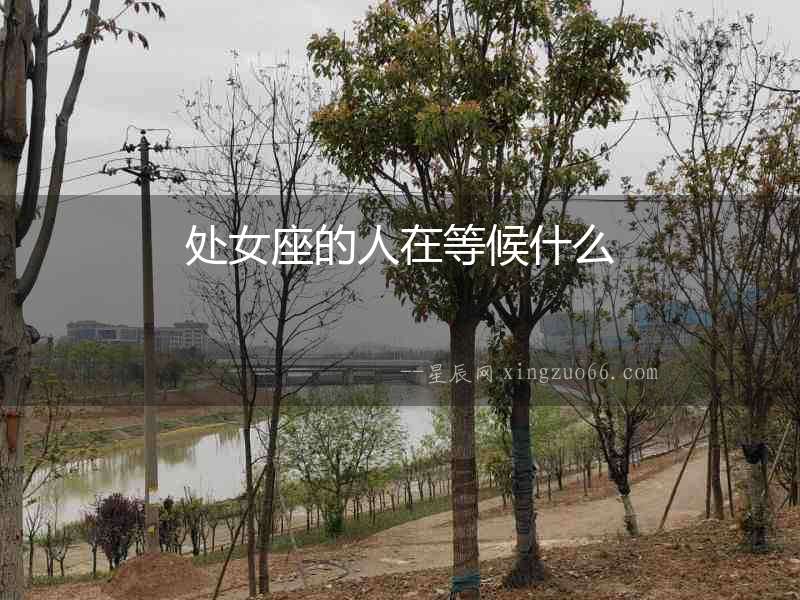 處女座的人在等候什么