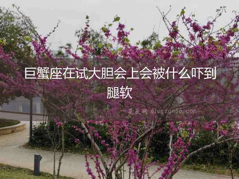 巨蟹座在試大膽會上會被什么嚇到腿軟
