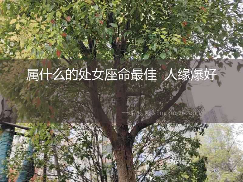 屬什么的處女座命最佳  人緣爆好