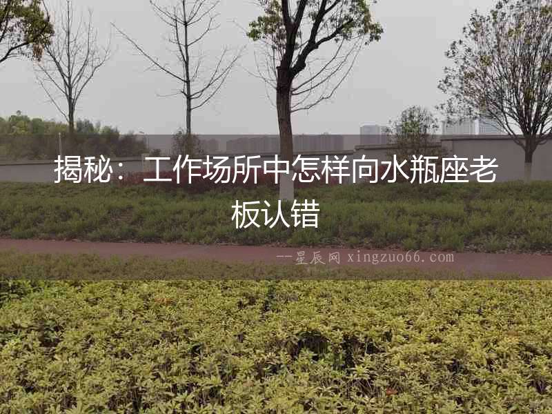 揭秘：工作場所中怎樣向水瓶座老板認錯