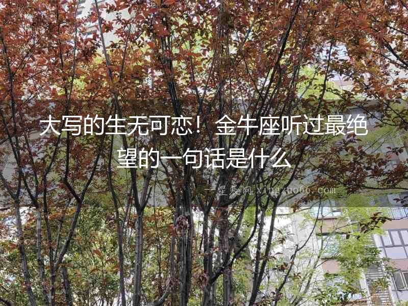 大寫的生無可戀！金牛座聽過最絕望的一句話是什么