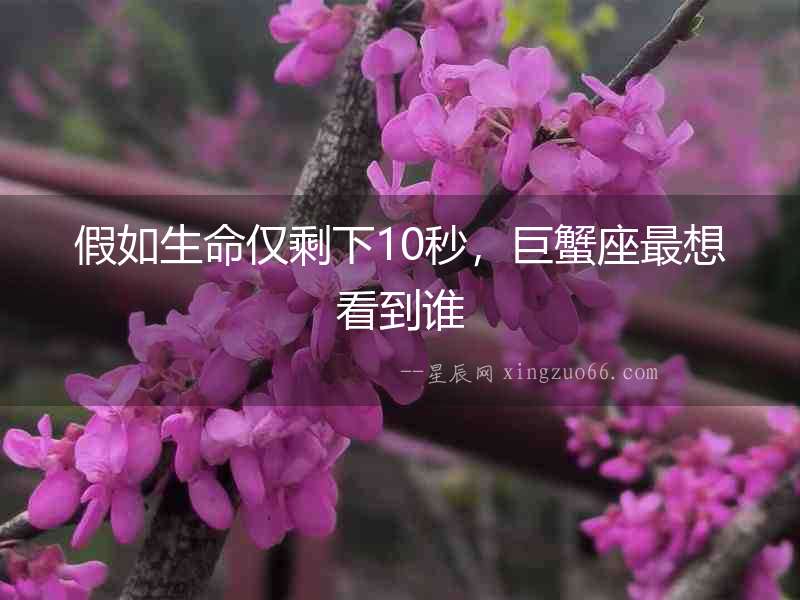 假如生命僅剩下10秒，巨蟹座最想看到誰