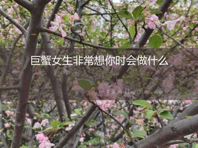 巨蟹女生非常想你時會做什么