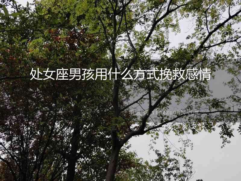處女座男孩用什么方式挽救感情