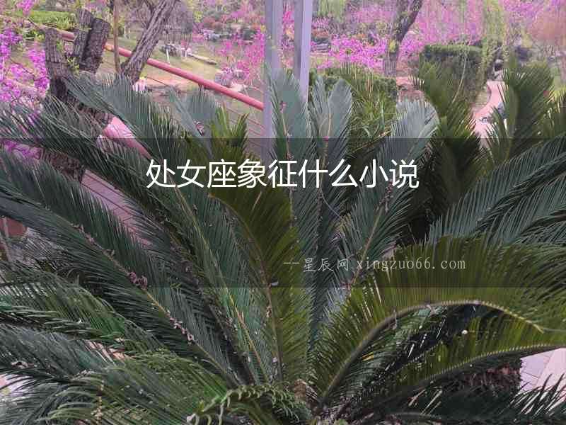 處女座象征什么小說