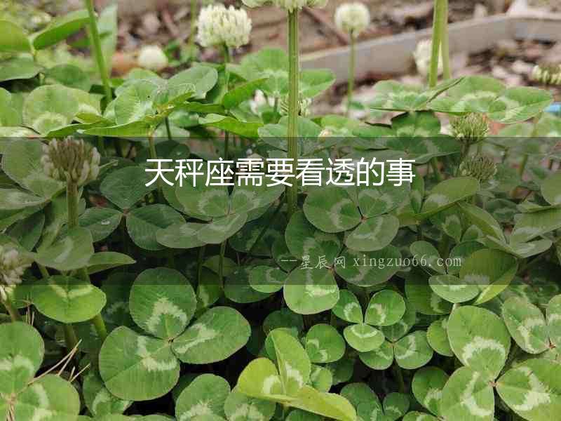天秤座需要看透的事