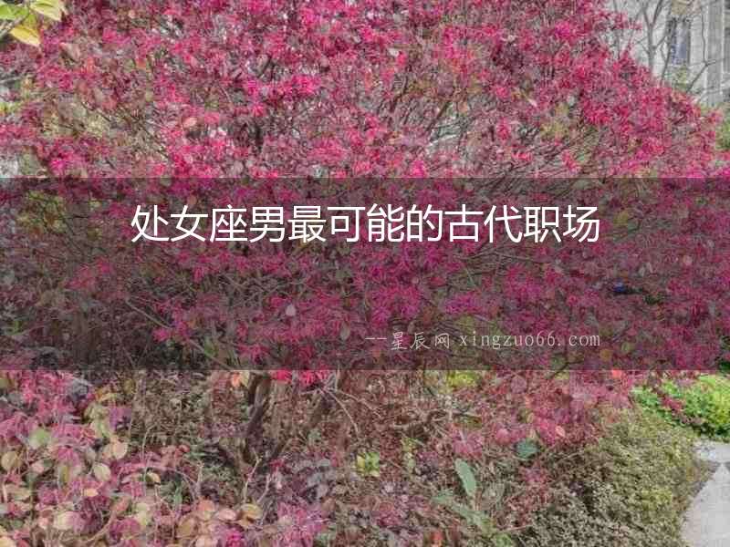 處女座男最可能的古代職場
