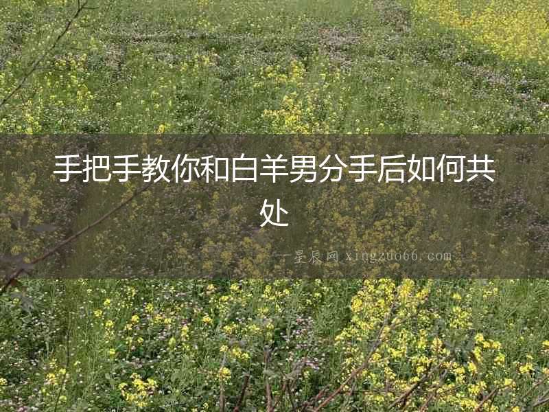 手把手教你和白羊男分手后如何共處