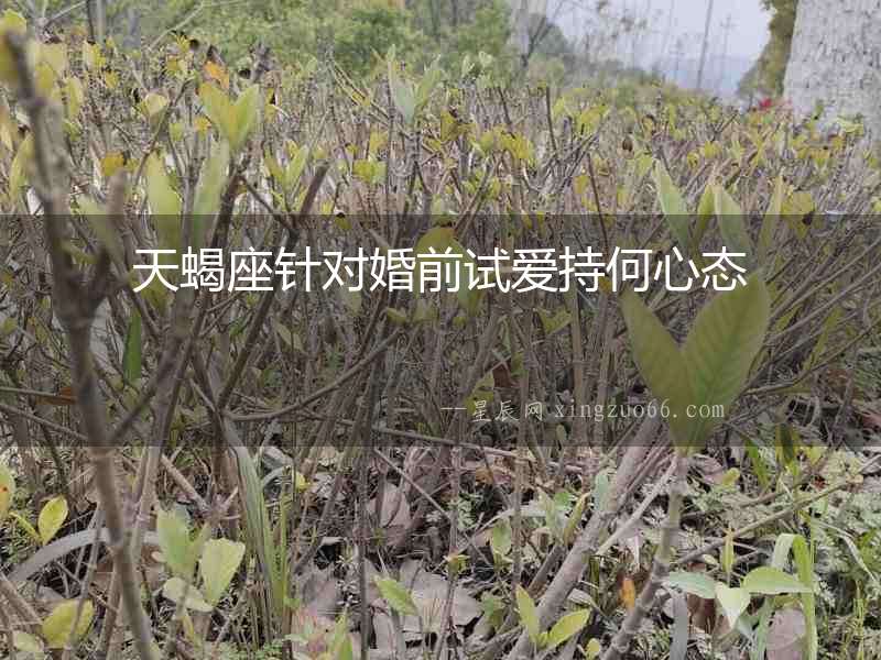 天蝎座針對婚前試愛持何心態(tài)