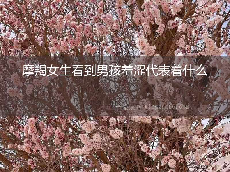 摩羯女生看到男孩羞澀代表著什么