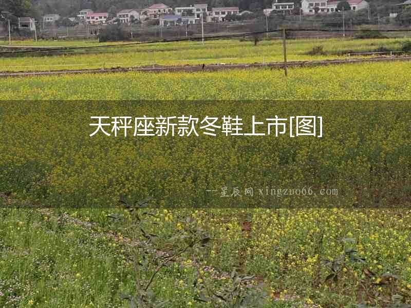 天秤座新款冬鞋上市[圖]