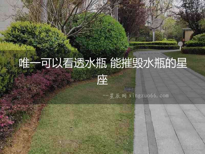 唯一可以看透水瓶 能摧毀水瓶的星座