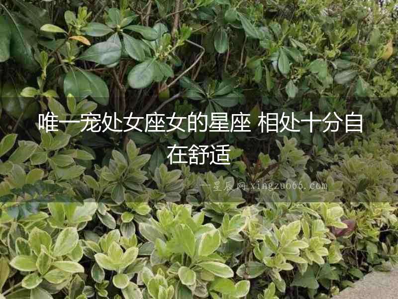 唯一寵處女座女的星座 相處十分自在舒適