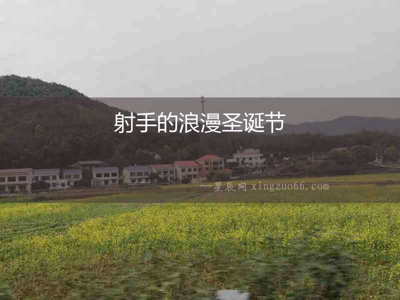 射手的浪漫圣誕節