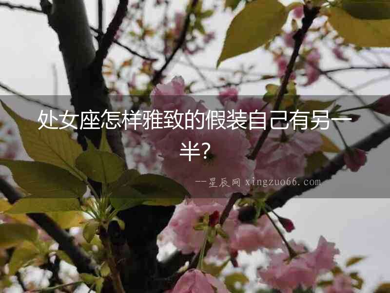 處女座怎樣雅致的假裝自己有另一半？