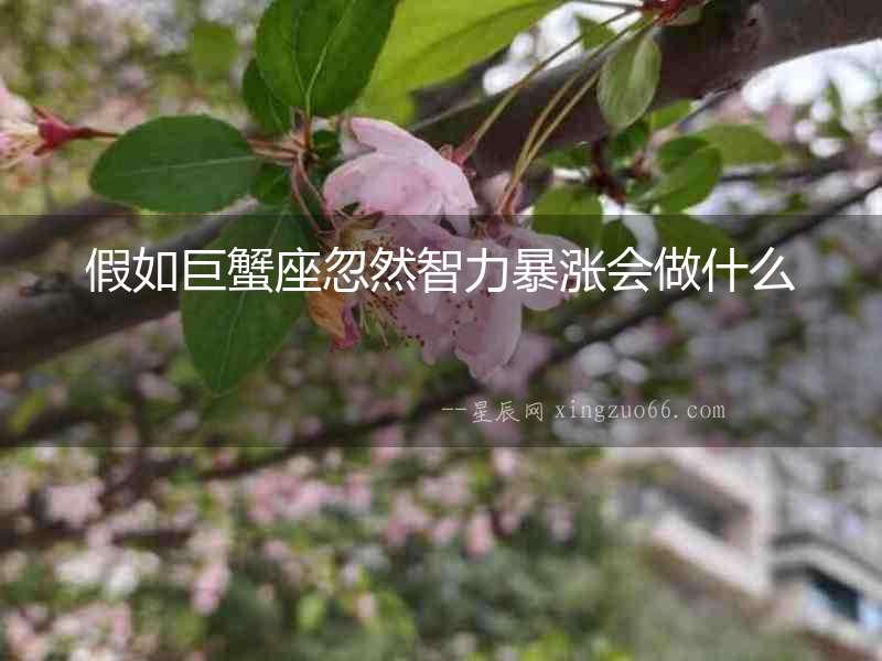 假如巨蟹座忽然智力暴漲會做什么