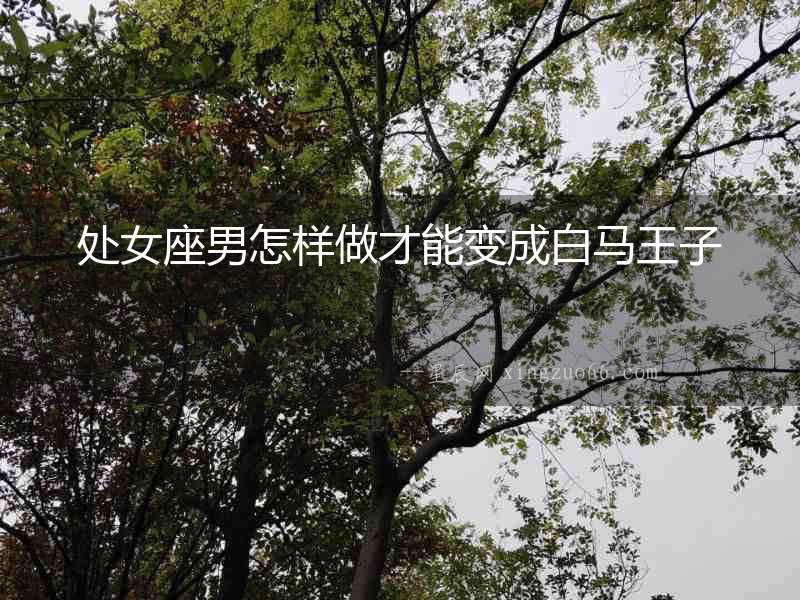處女座男怎樣做才能變成白馬王子
