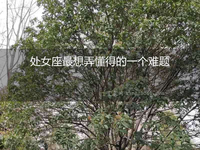 處女座最想弄懂得的一個難題
