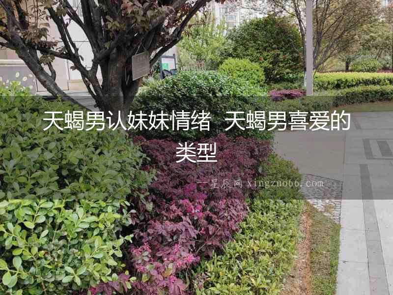 天蝎男認妹妹情緒  天蝎男喜愛的類型