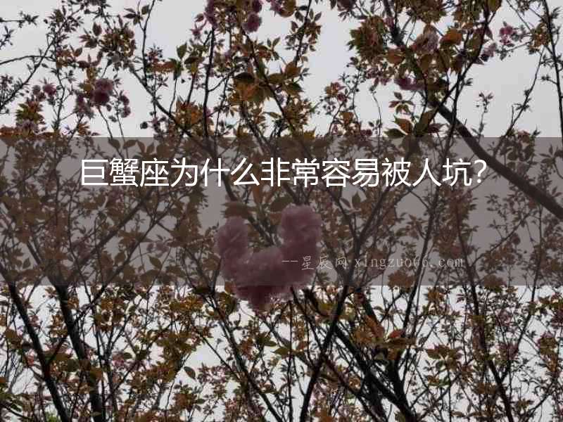 巨蟹座為什么非常容易被人坑？