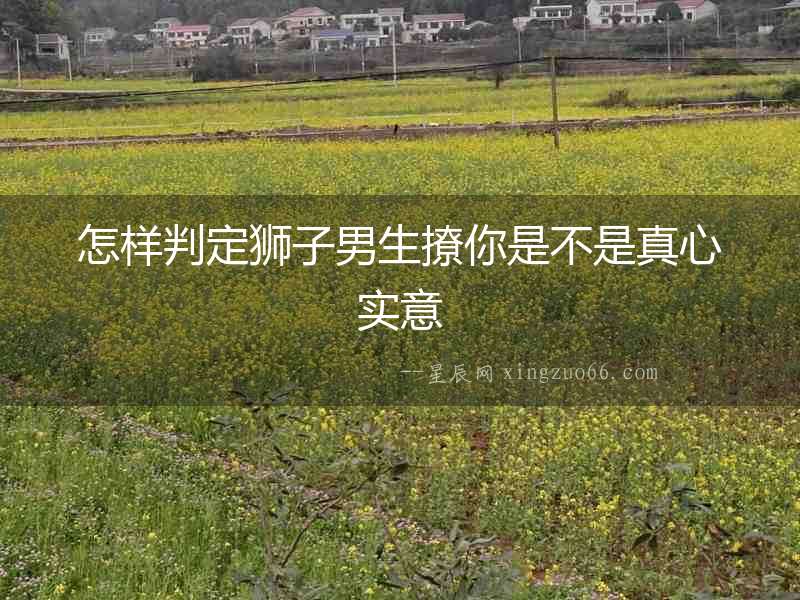 怎樣判定獅子男生撩你是不是真心實(shí)意