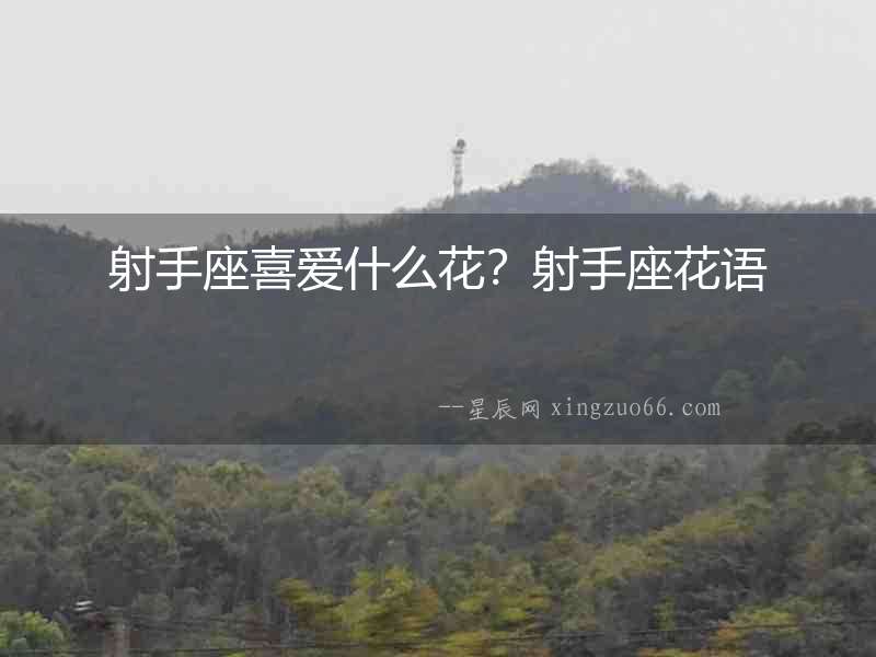 射手座喜愛什么花？射手座花語