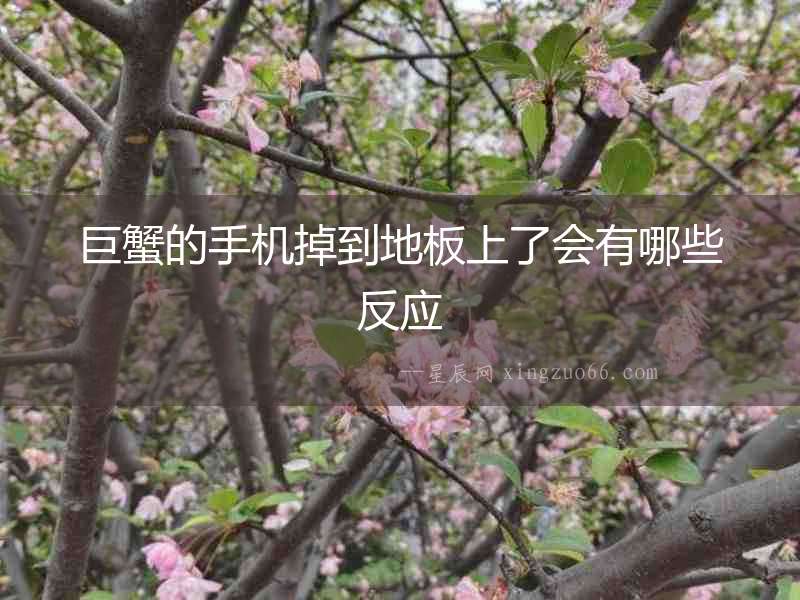 巨蟹的手機掉到地板上了會有哪些反應