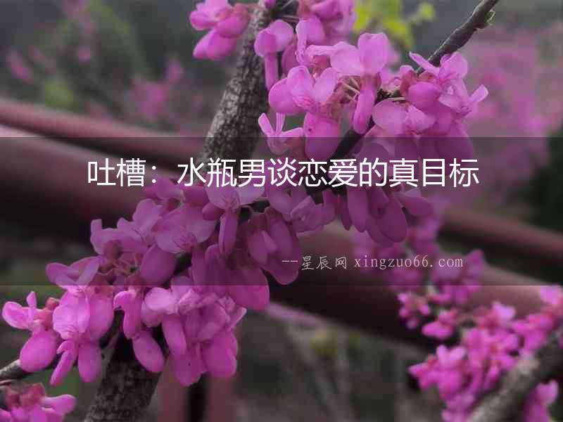 吐槽：水瓶男談戀愛的真目標