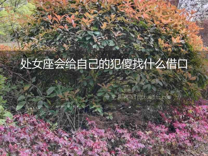 處女座會給自己的犯傻找什么借口