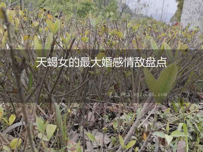 天蝎女的最大婚感情敵盤點