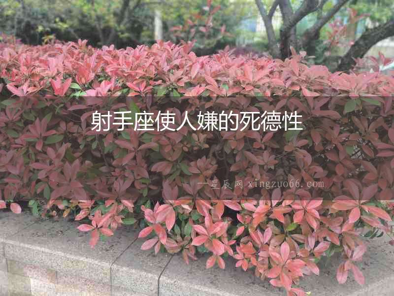 射手座使人嫌的死德性
