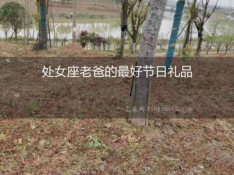 處女座老爸的最好節日禮品