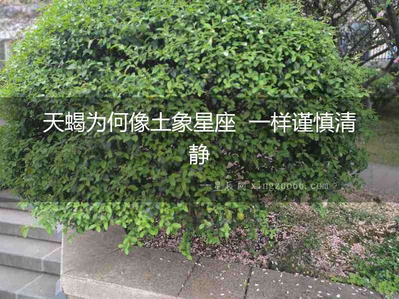 天蝎為何像土象星座  一樣謹慎清靜