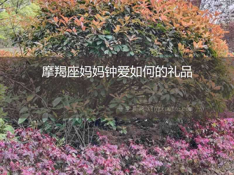 摩羯座媽媽鐘愛如何的禮品