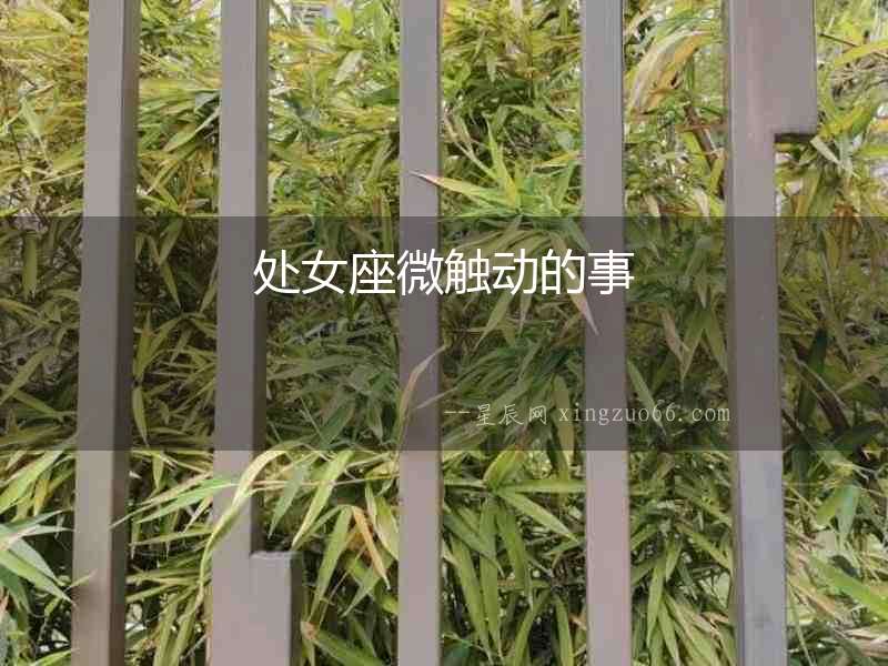 處女座微觸動的事