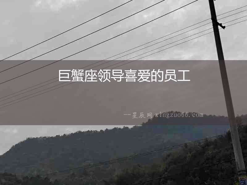 巨蟹座領導喜愛的員工