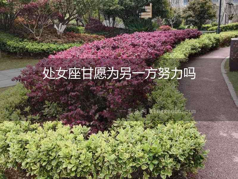 處女座甘愿為另一方努力嗎