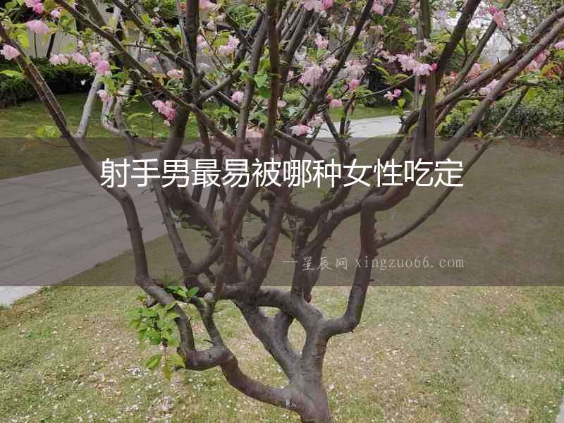射手男最易被哪種女性吃定