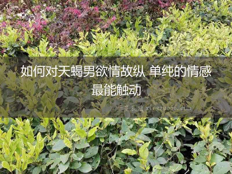 如何對天蝎男欲情故縱 單純的情感最能觸動