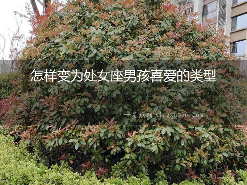 怎樣變為處女座男孩喜愛的類型
